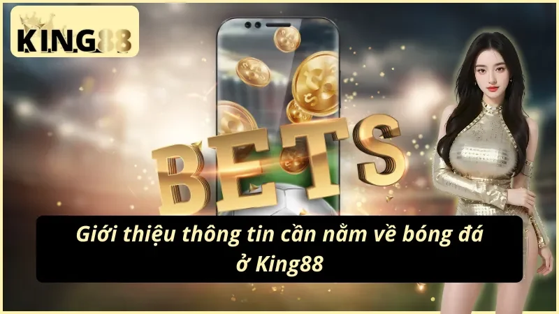 Nằm lòng thông tin quan trọng về King88 bóng đá