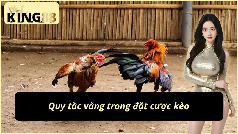 Bí quyết đặt cược kèo đá gà Philippines KING88